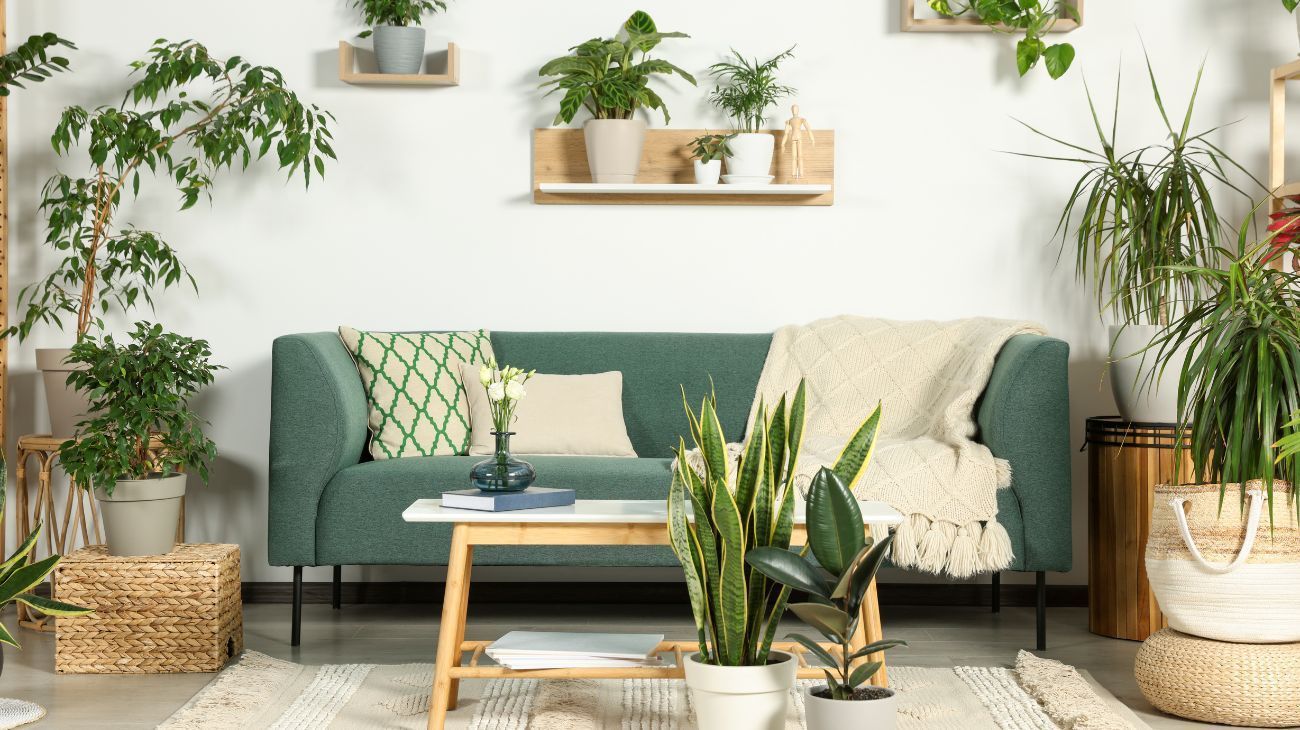 Decoración en salones